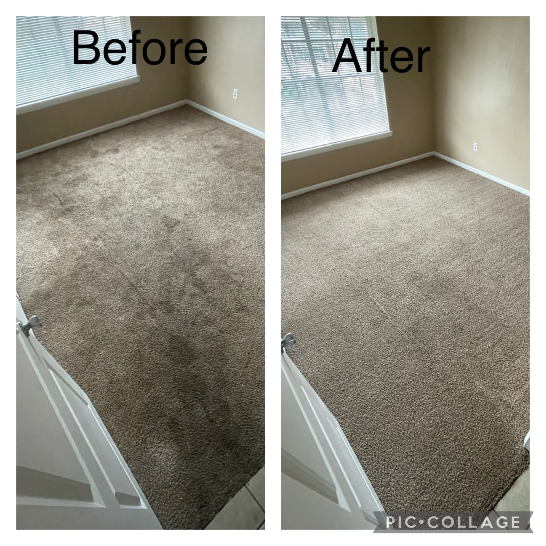 apartment carpet cleaning. very dirty carpet. Cleaned and groomed