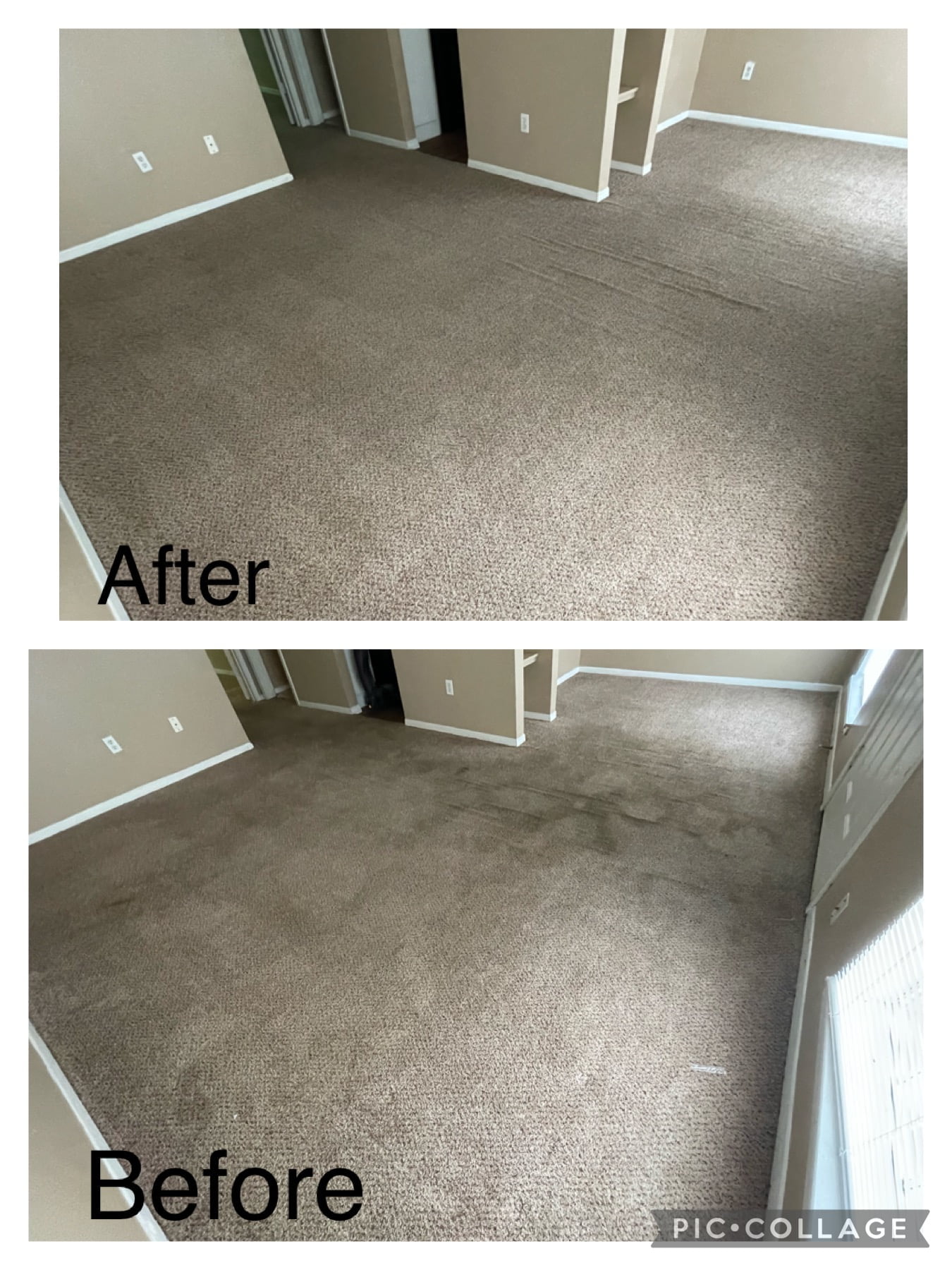 apartment carpet cleaning. dirty to clean.