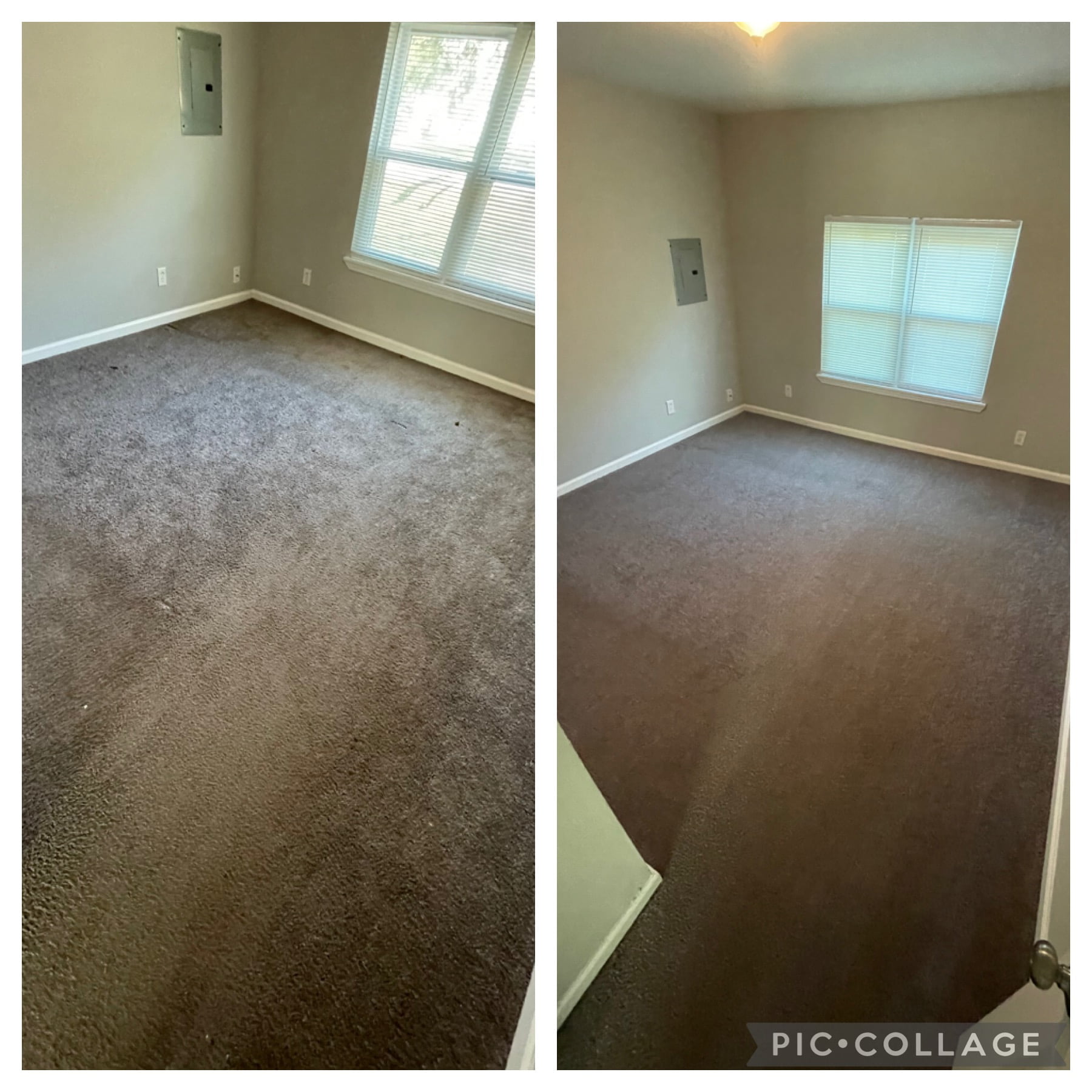 apartment carpet cleaning. Dirty and dingy to floor room beautiful.