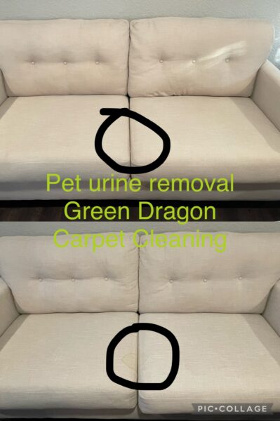white love seat cleaning. pet urine removal