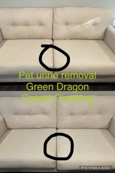 white love seat cleaning. pet urine removal