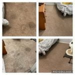Carpet Cleaners in Webster, Texas 7 IMG 1716 300x300 1 150x150 1