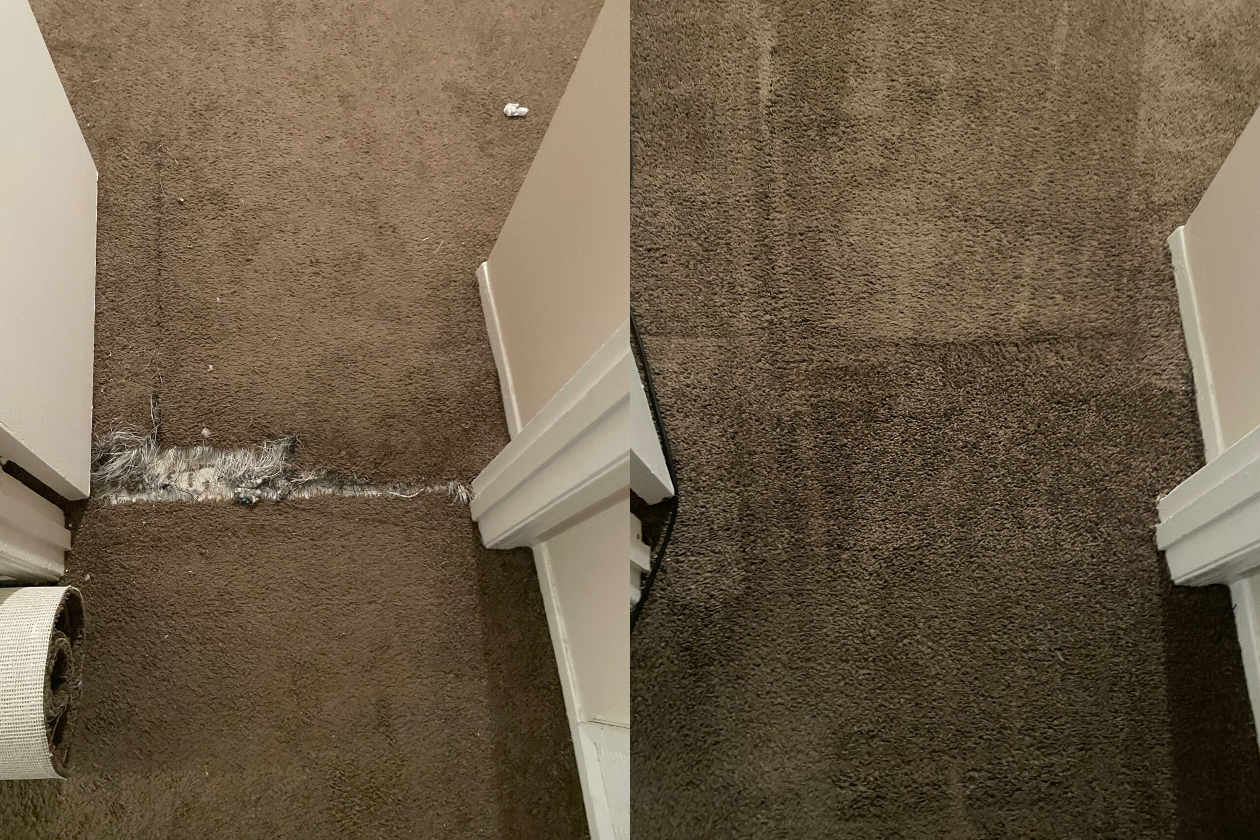 Carpet Cleaners in Webster, Texas 13 Image 2 scaled