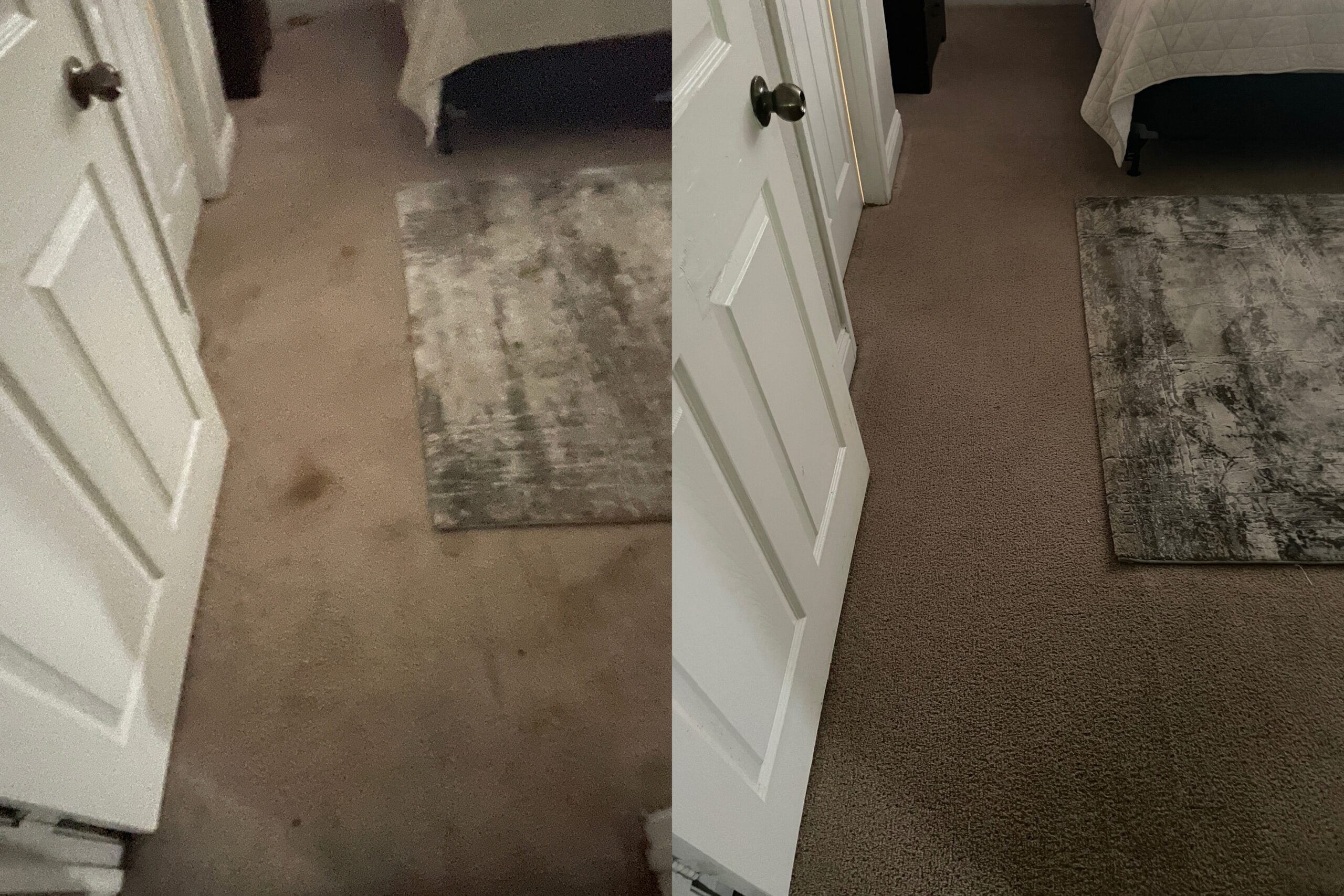 Carpet Cleaning 1 Image 4 scaled